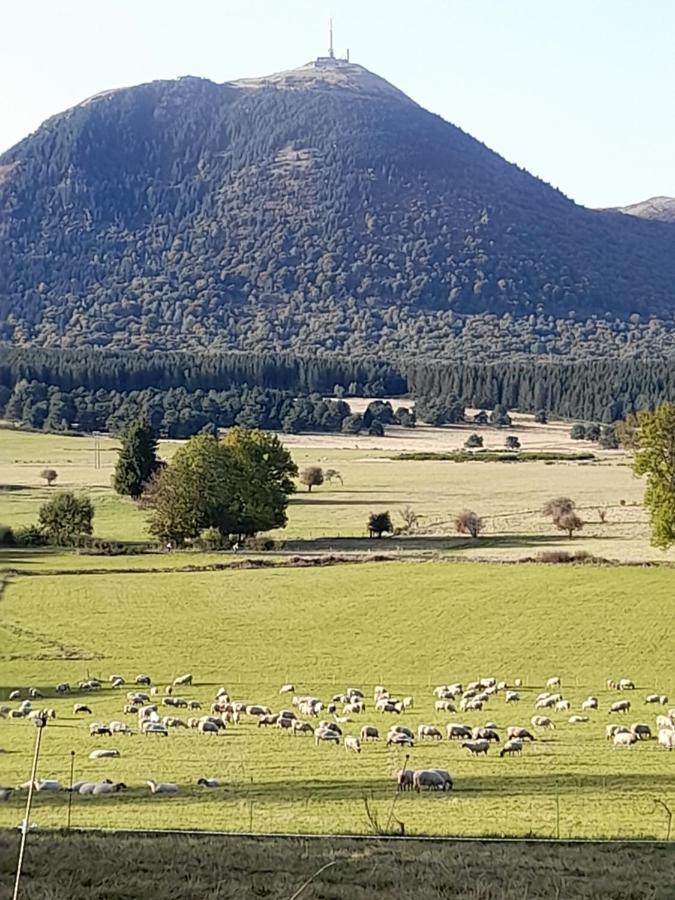 A 5 Mns Du Puy De Dome Avec Vue Imprenable Studio Rez De Jardin 24M2 Neuf A Laschamps Saint-Genès-Champanelle Exterior foto